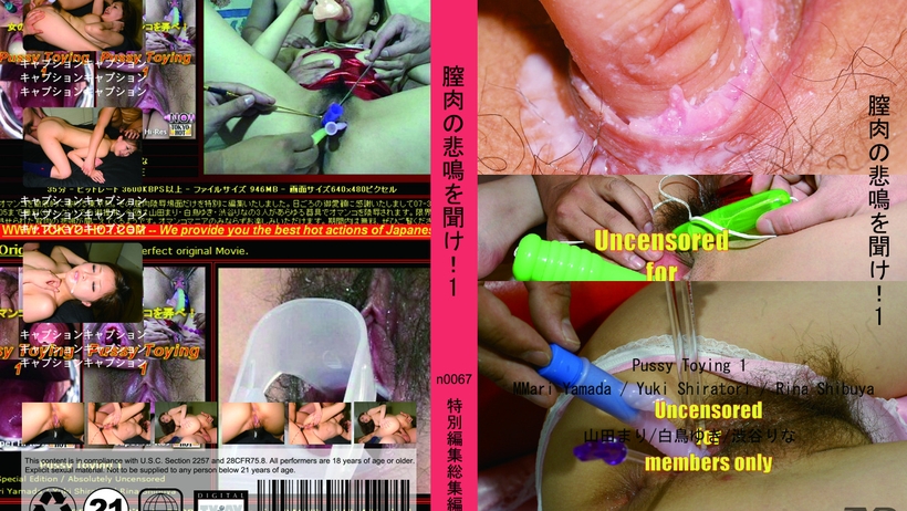 n0067 膣肉の悲鳴を聞け!1